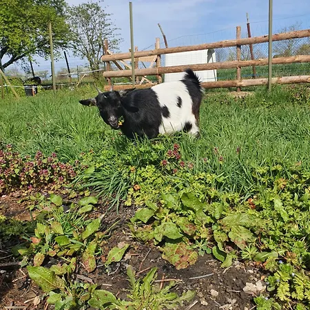 Chez Jess Et Mat Appartement *