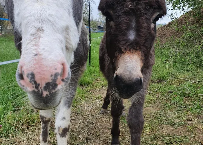 Chez Jess Et Mat Daire