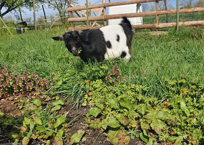 Chez Jess Et Mat Daire *